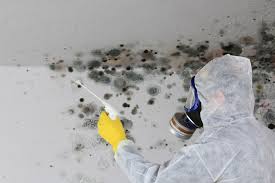 Best Asbestos and Lead Testing During Mold Inspection  in Iola, WI